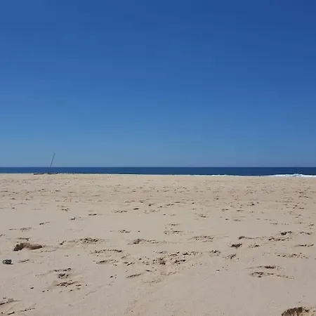 Serenity